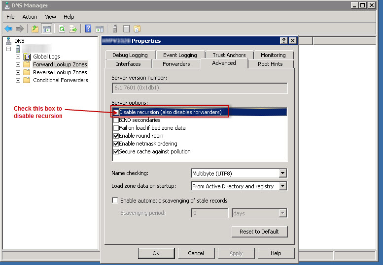 Dns lookup